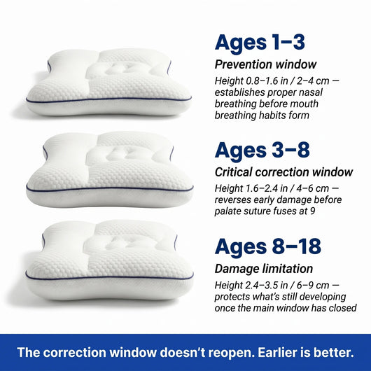 Cocoona Posture Kids Pillow